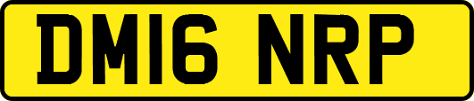 DM16NRP