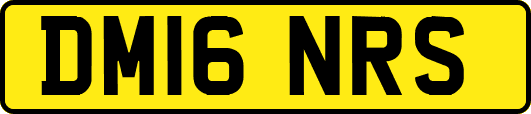 DM16NRS