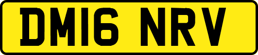 DM16NRV