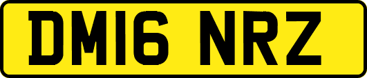 DM16NRZ