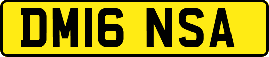DM16NSA