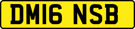 DM16NSB