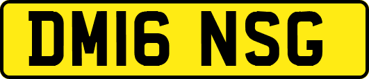 DM16NSG