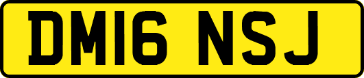 DM16NSJ
