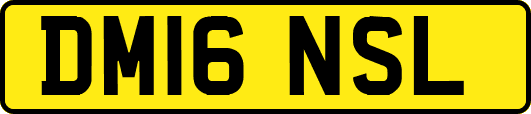 DM16NSL