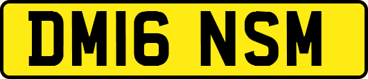 DM16NSM