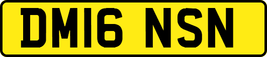 DM16NSN