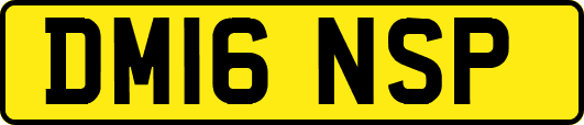 DM16NSP