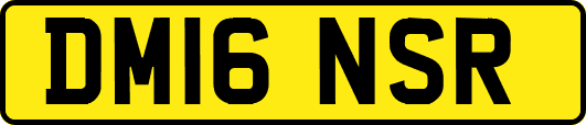 DM16NSR