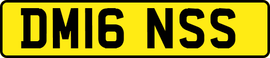 DM16NSS