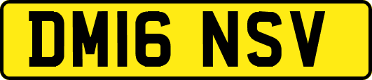 DM16NSV