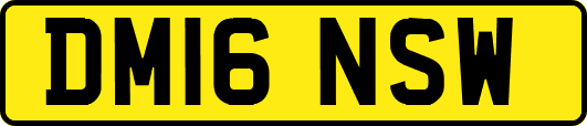 DM16NSW