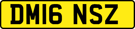 DM16NSZ