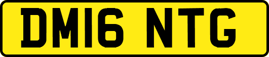 DM16NTG