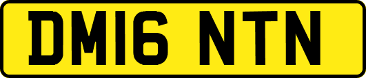 DM16NTN