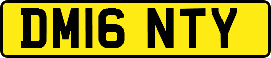 DM16NTY