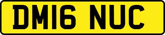 DM16NUC