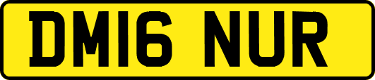 DM16NUR