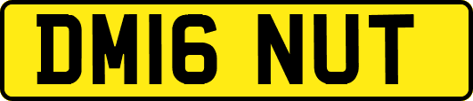 DM16NUT