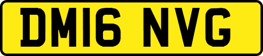 DM16NVG