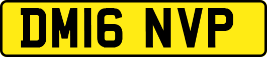 DM16NVP