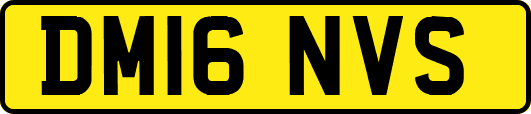 DM16NVS