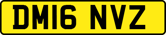 DM16NVZ