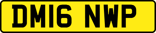 DM16NWP