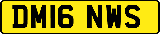 DM16NWS