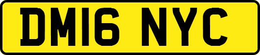 DM16NYC