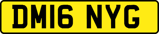 DM16NYG
