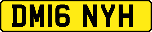 DM16NYH