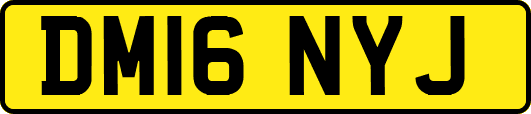 DM16NYJ