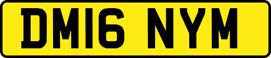 DM16NYM