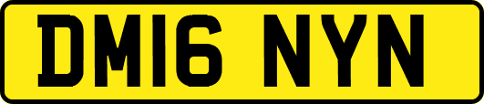 DM16NYN