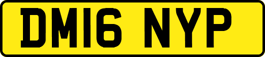DM16NYP
