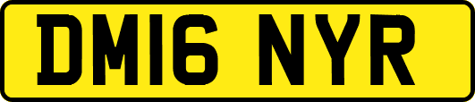 DM16NYR