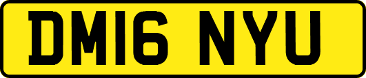 DM16NYU