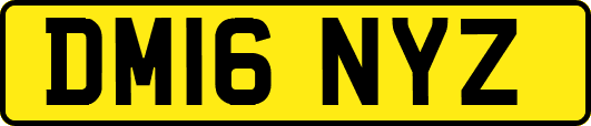 DM16NYZ