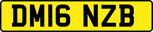 DM16NZB