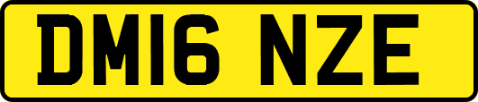 DM16NZE