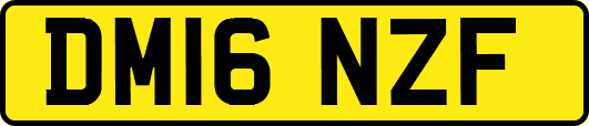 DM16NZF
