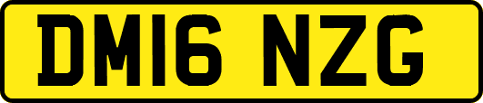 DM16NZG