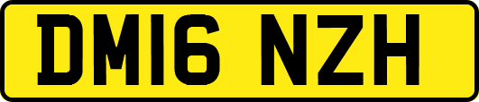 DM16NZH