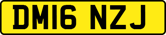 DM16NZJ