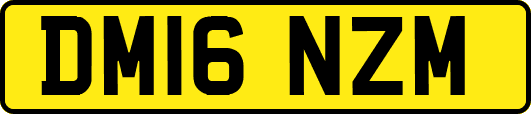 DM16NZM