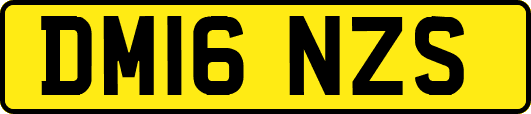 DM16NZS