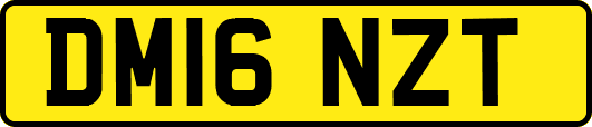 DM16NZT