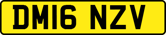 DM16NZV
