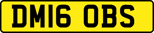 DM16OBS